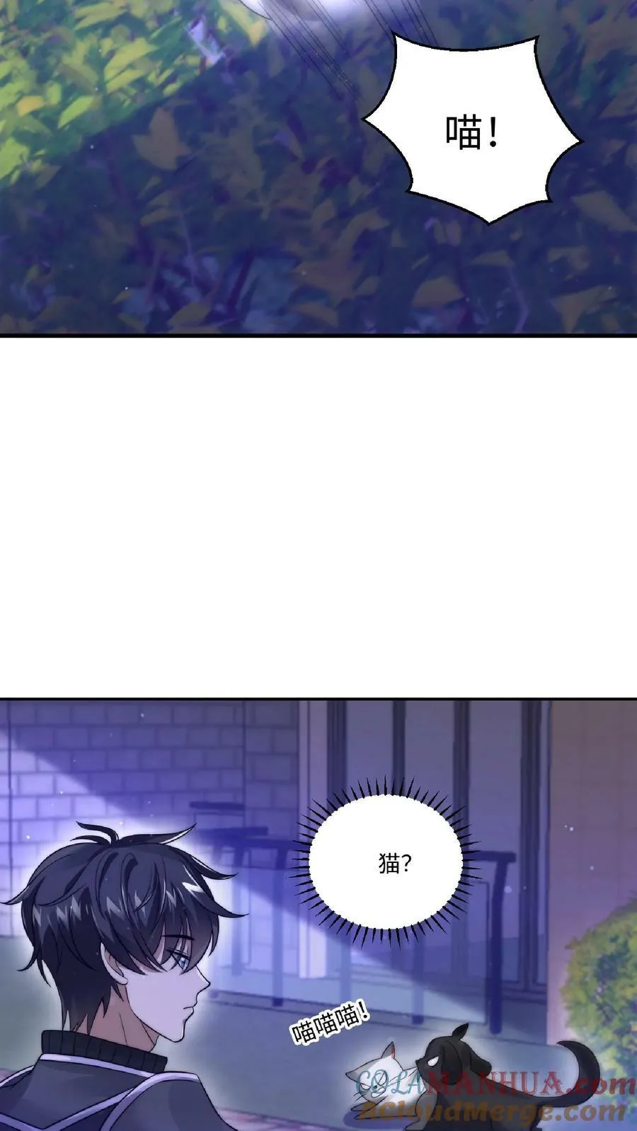 第24话 会心灵交流的神奇小猫 第13页