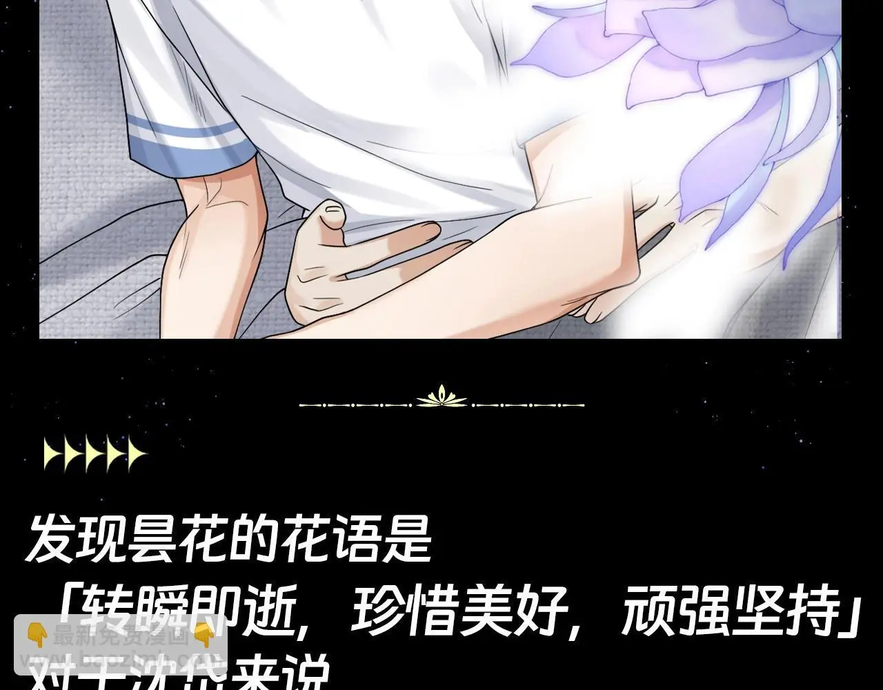 第15期 整活企划：昙花的花语 第4页