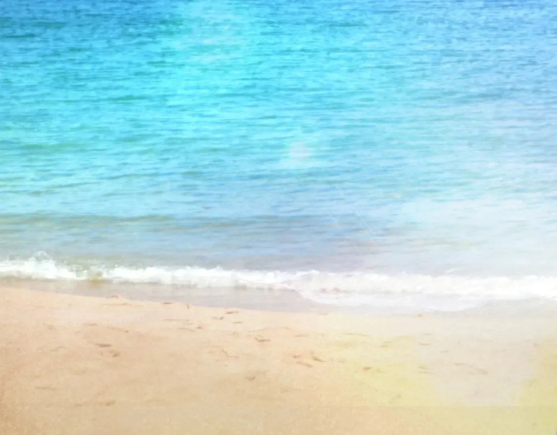 第61话 海边旅行 第226页