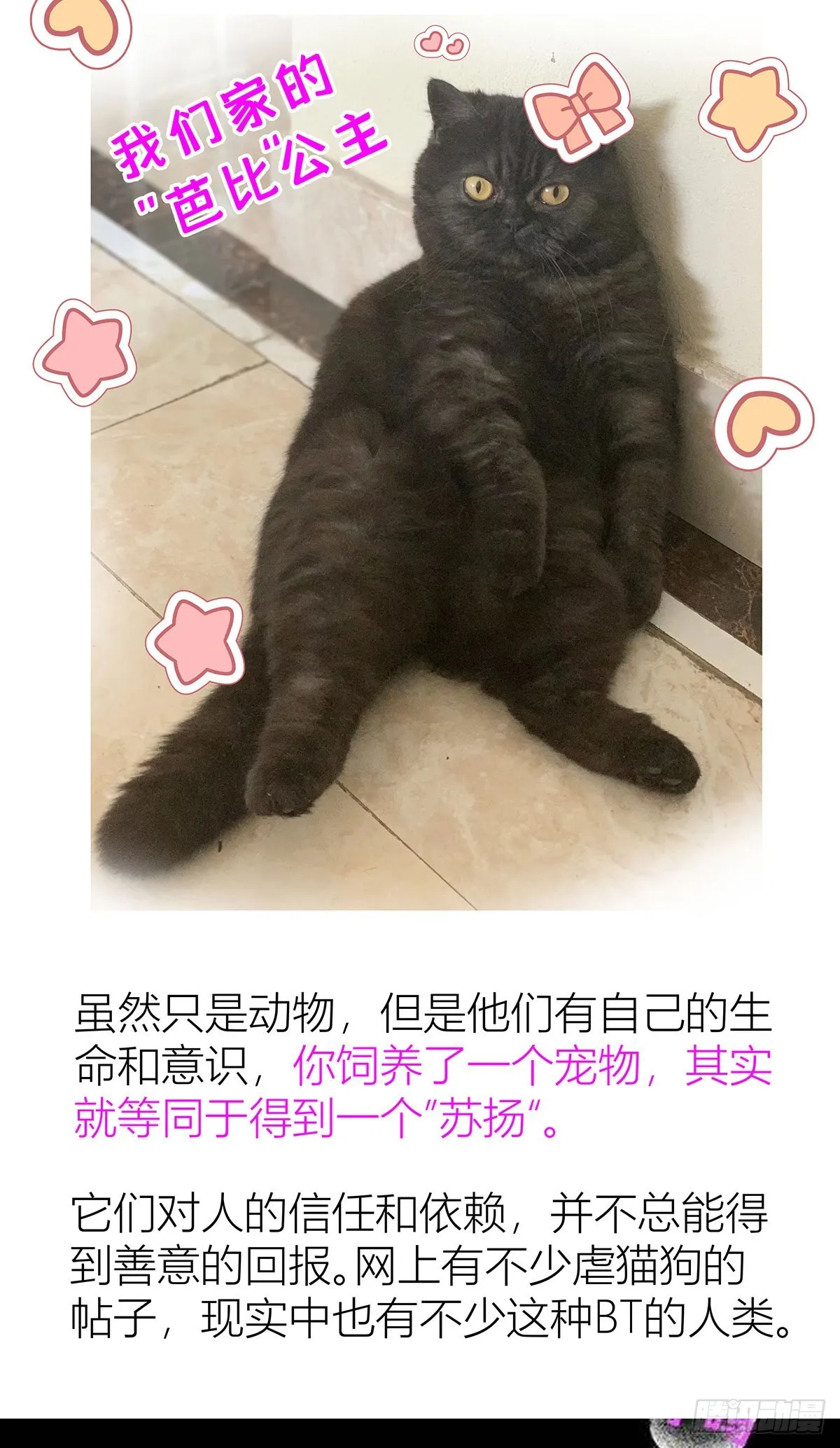 第41话 梦（4） 第37页
