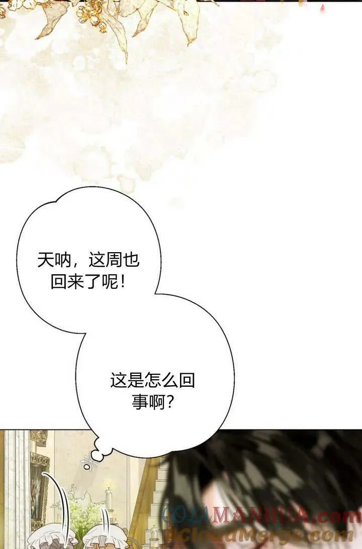 第34话 第41页
