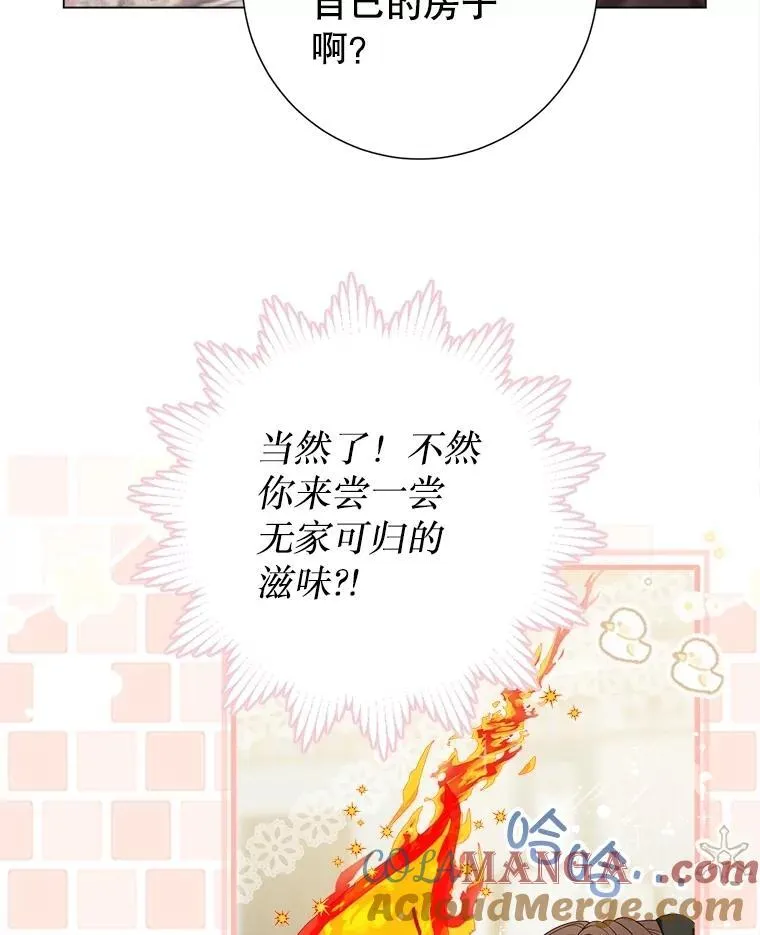 42.初探宝物库 第16页