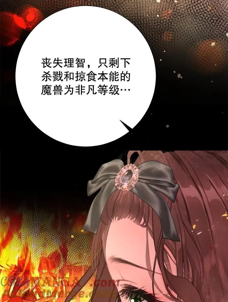 49.魔兽等级 第25页