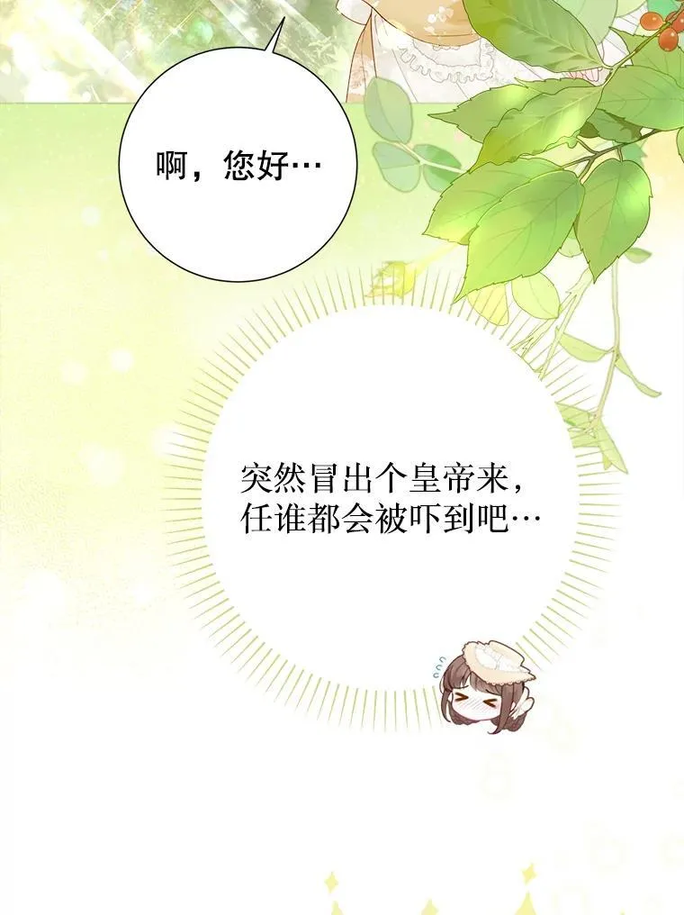 50.阳光下的阴霾 第56页