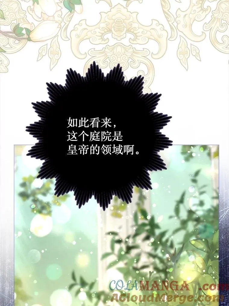 51.正面交锋 第13页