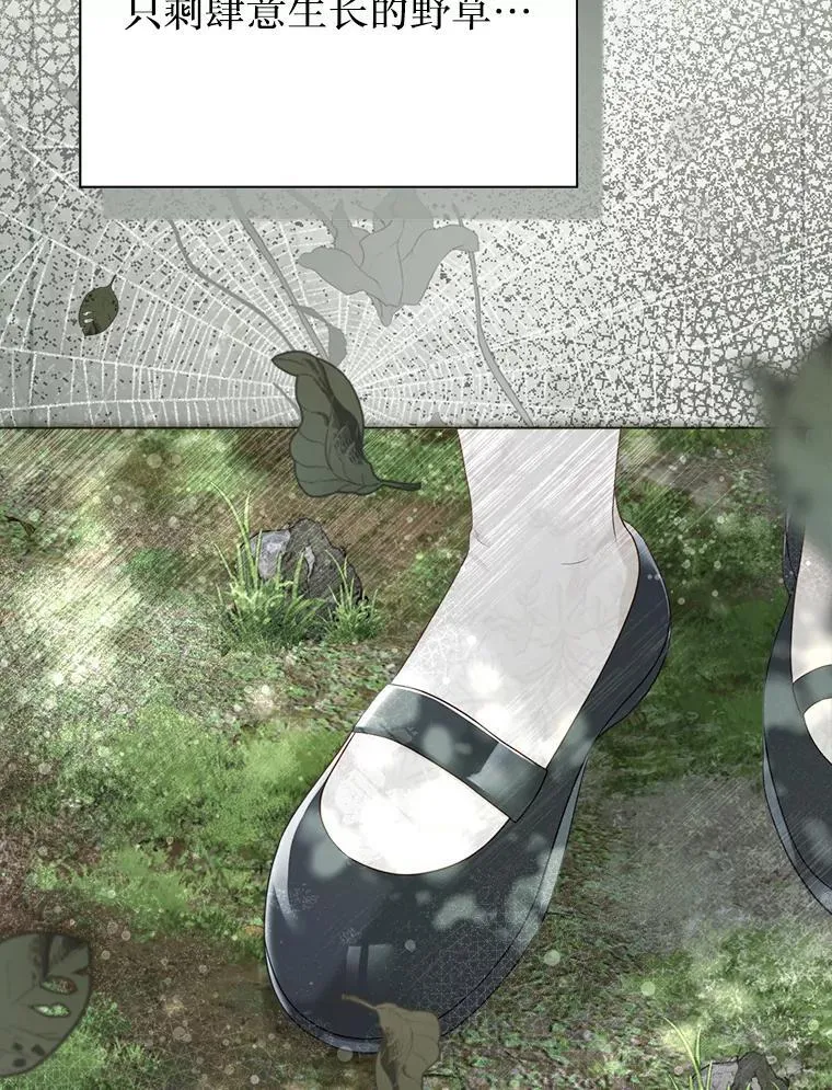 51.正面交锋 第100页