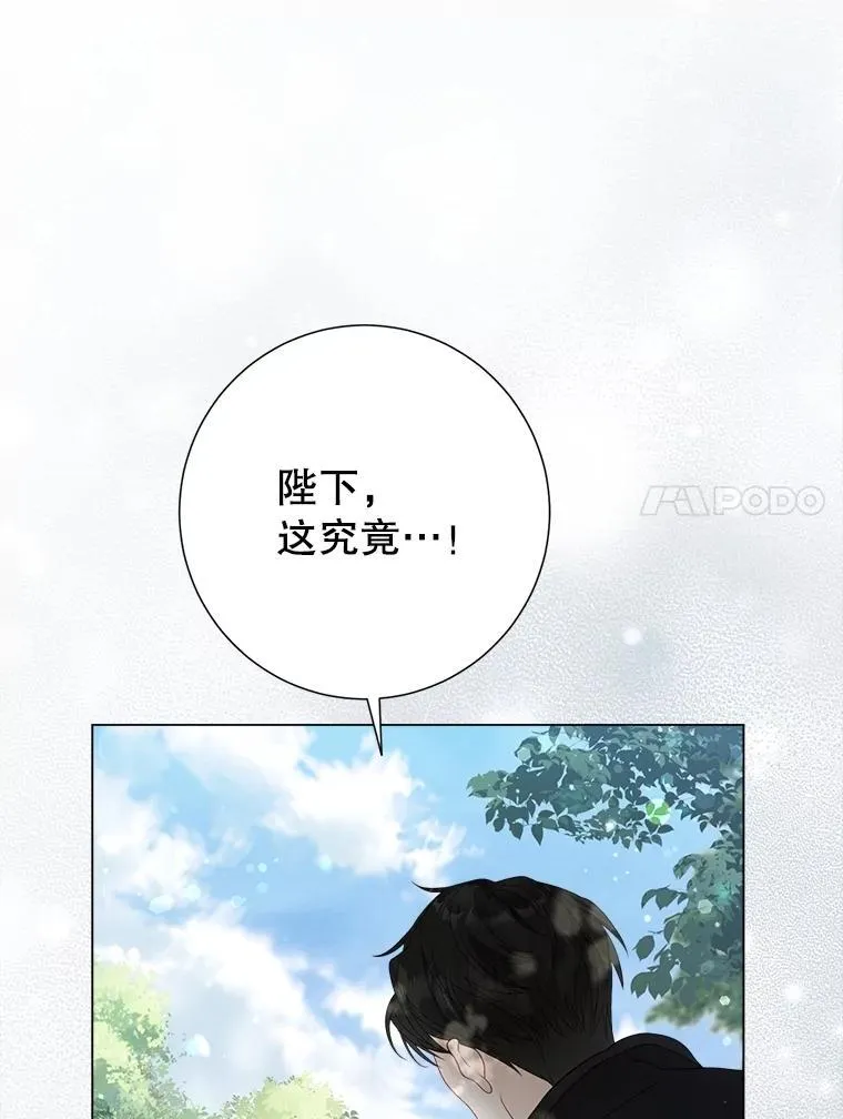 51.正面交锋 第126页