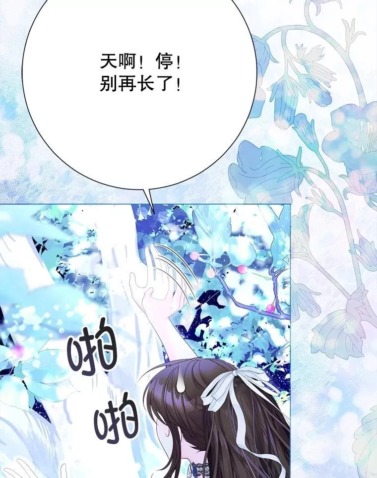 58.爬高高 第74页