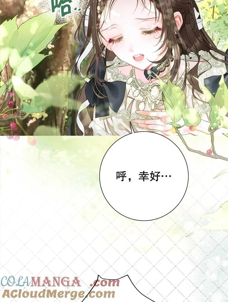 58.爬高高 第81页
