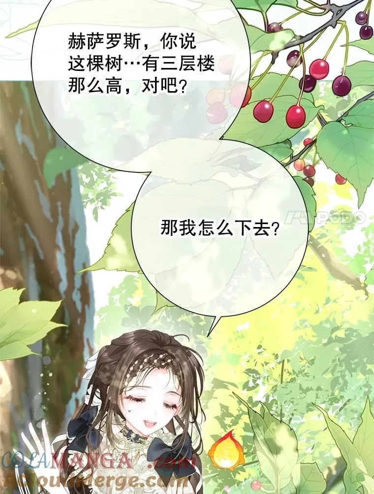 58.爬高高 第85页