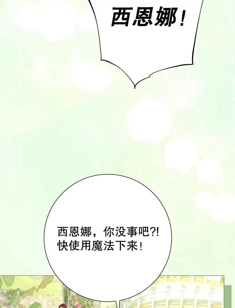 58.爬高高 第99页