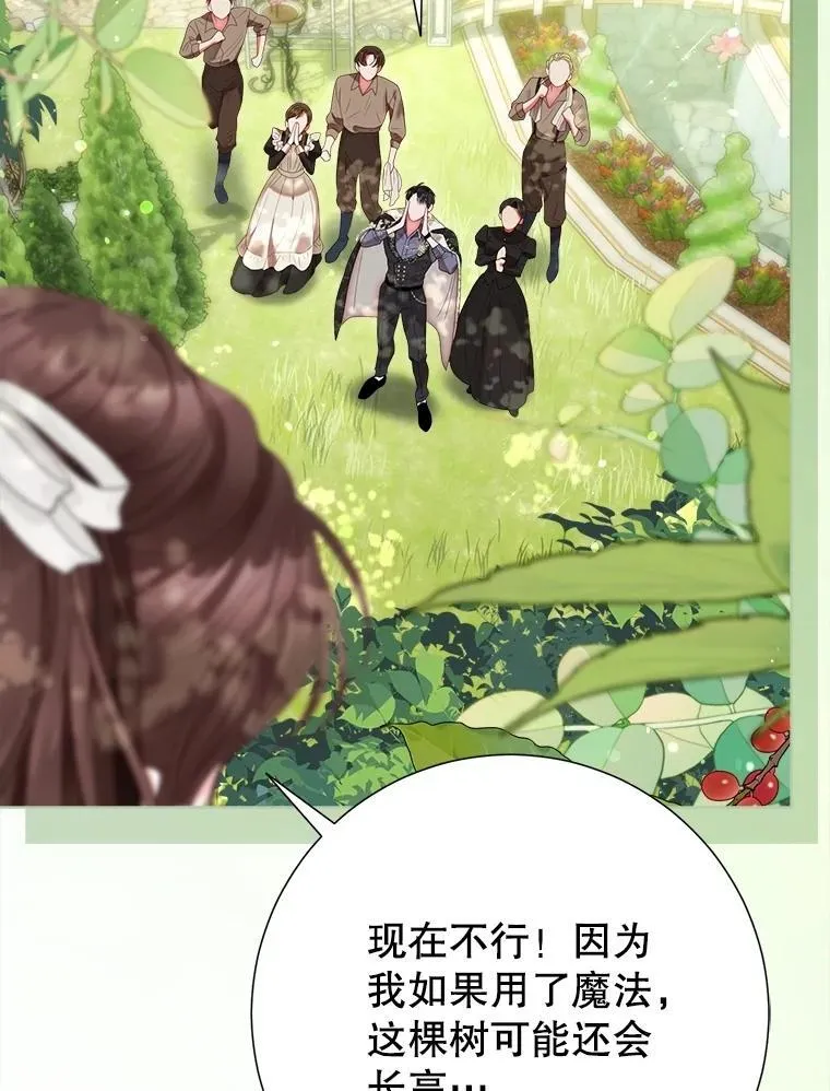 58.爬高高 第100页