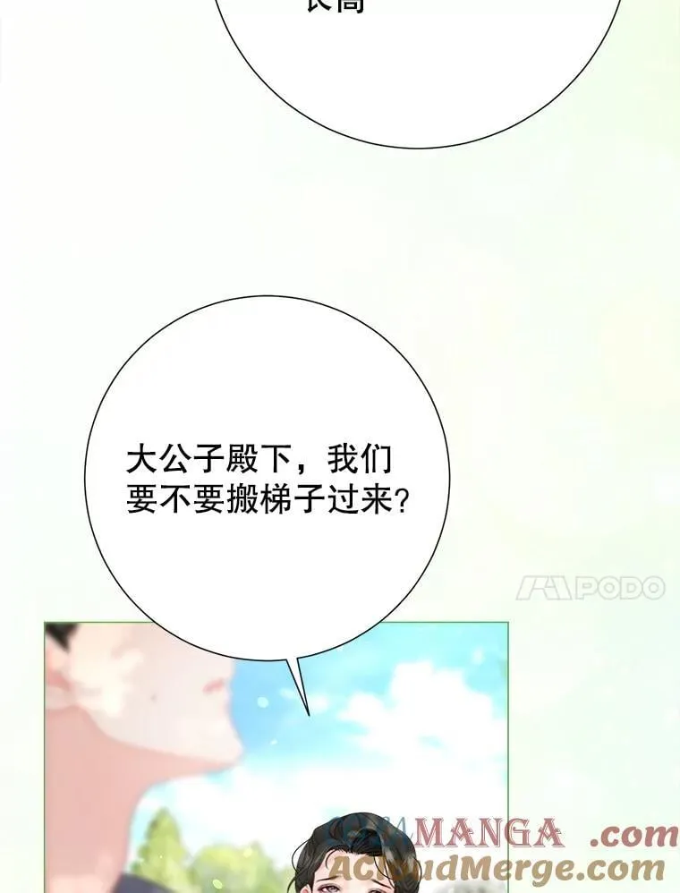 58.爬高高 第101页
