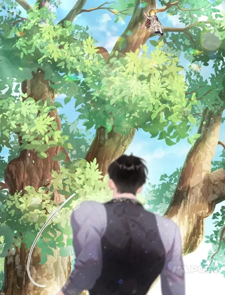 58.爬高高 第104页