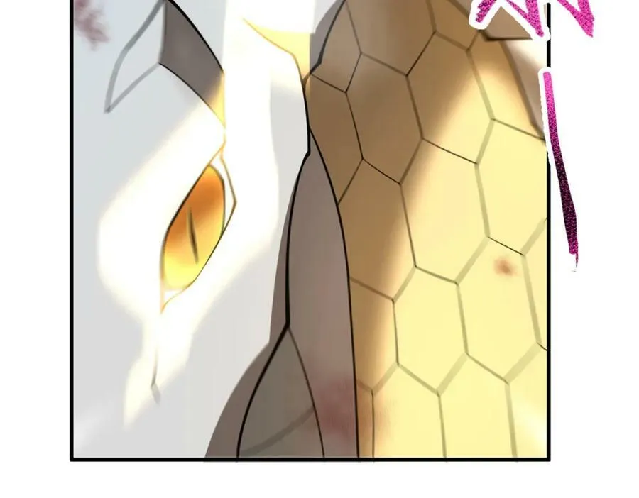 196 单方面碾压 第102页