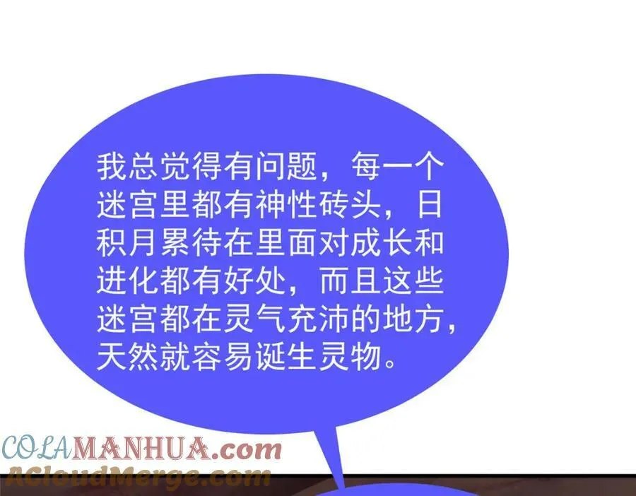 212 寻找迷宫之神 第41页