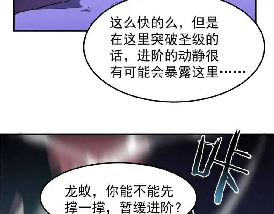 268 本元猪 第104页
