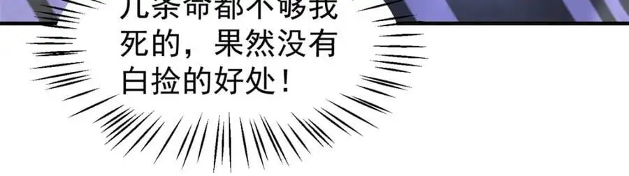 268 本元猪 第115页