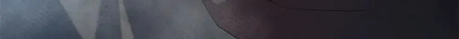 290 新的王 第44页