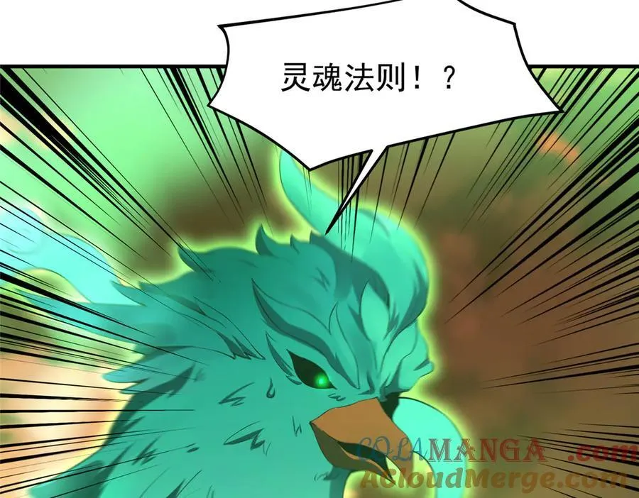 343 永恒青乌 第13页