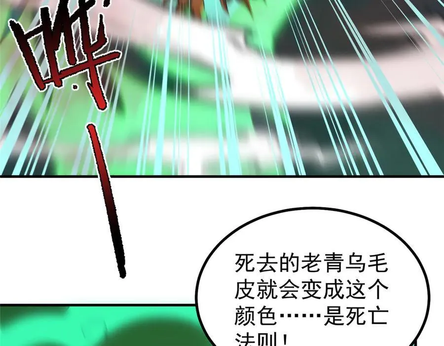 343 永恒青乌 第43页