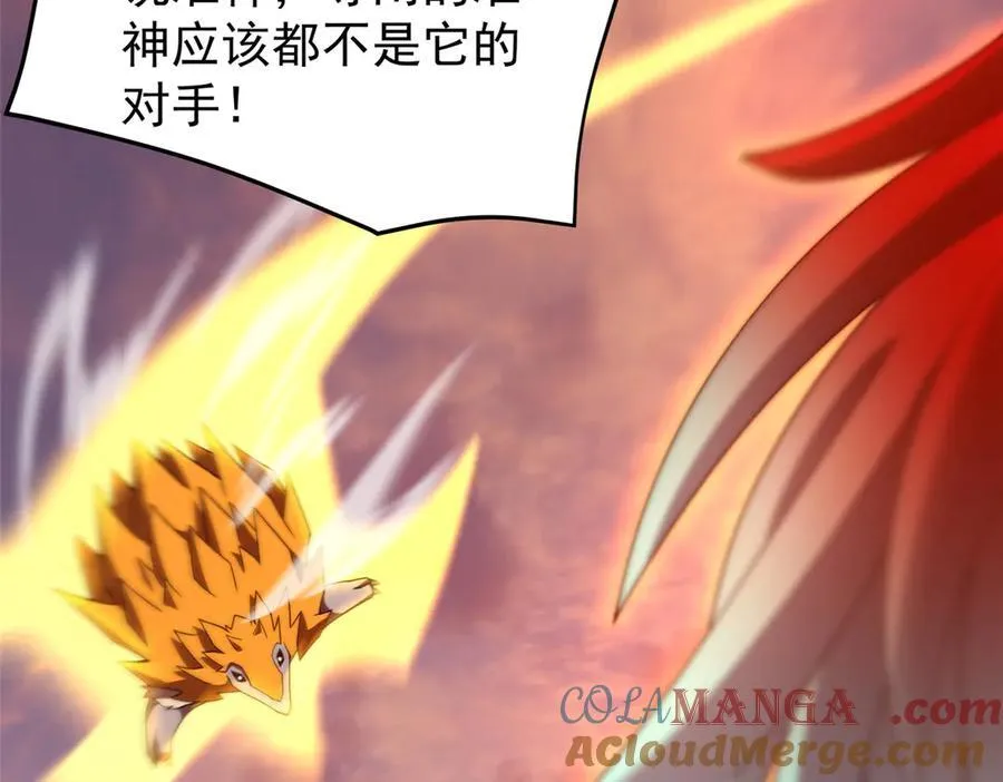 347 这鸟太凶残 第25页