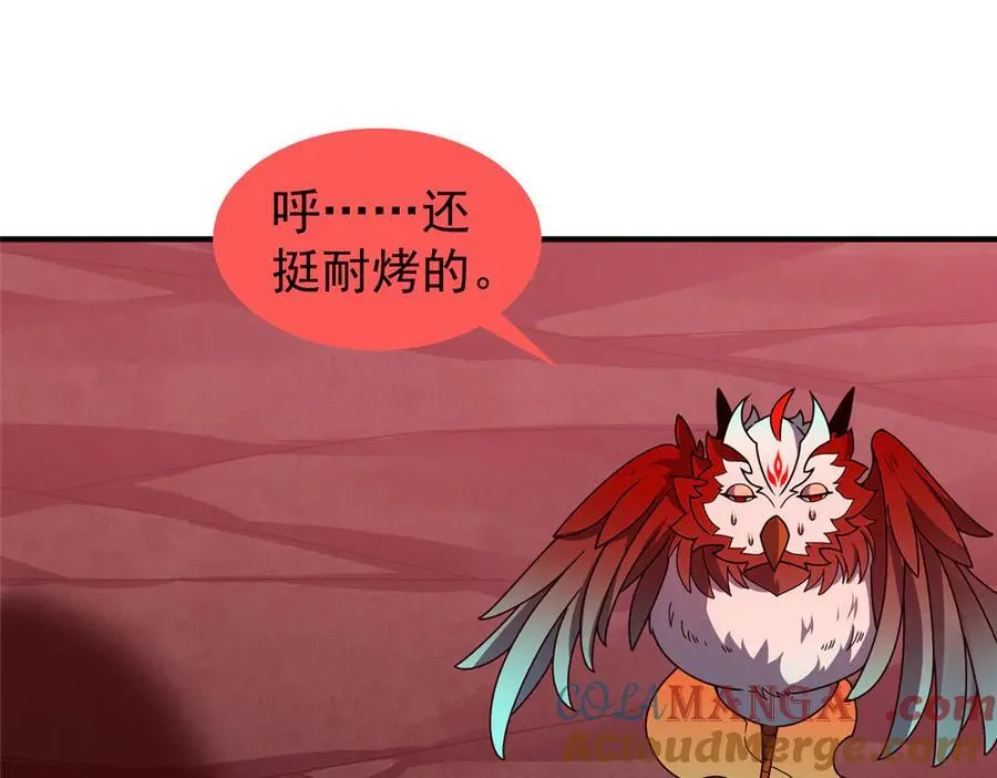 347 这鸟太凶残 第41页