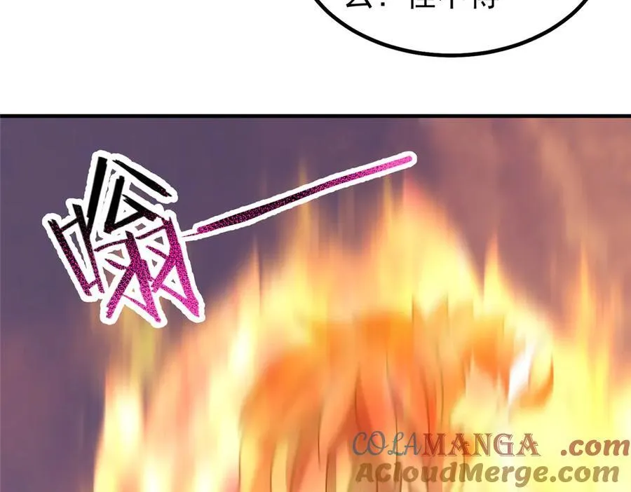 347 这鸟太凶残 第61页