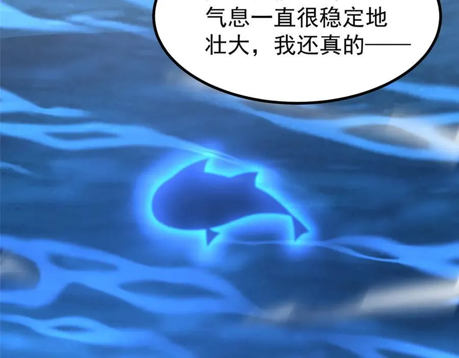 367 胖大海恢复 第12页
