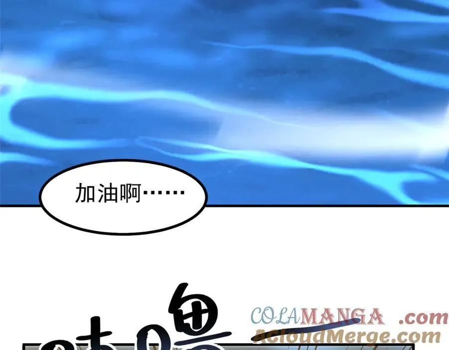367 胖大海恢复 第13页