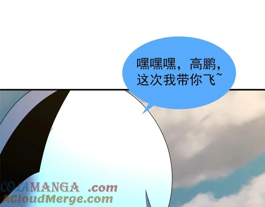 367 胖大海恢复 第85页