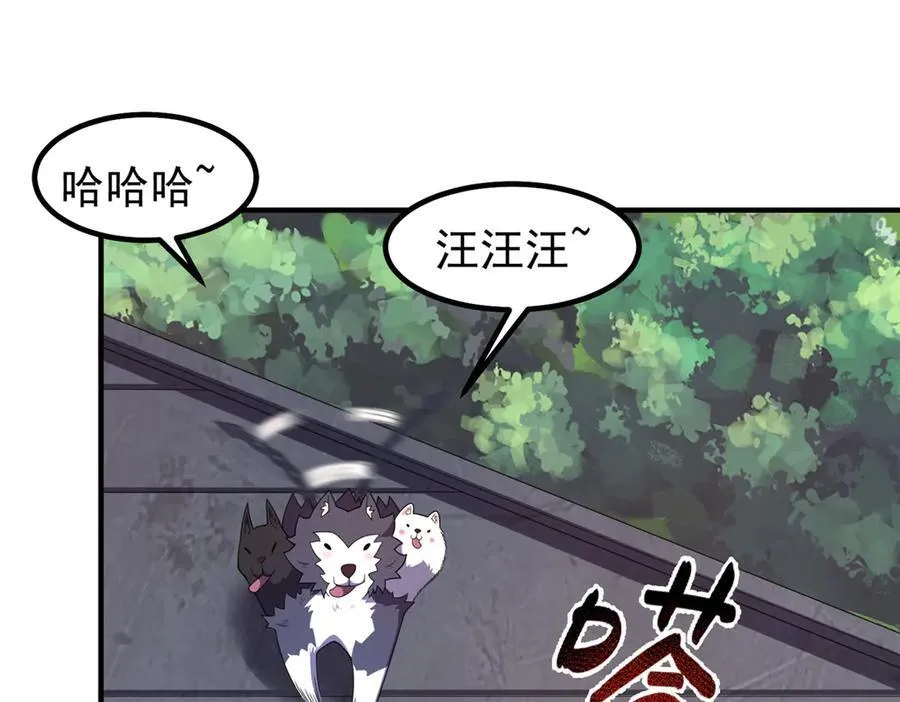 374 回来了 第40页