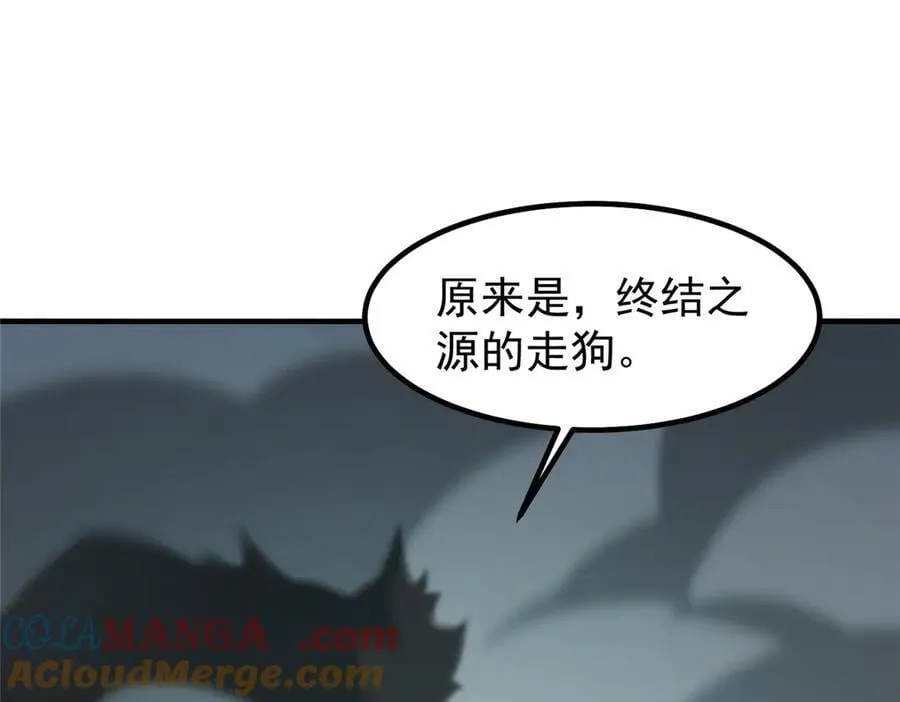401 白虎 第13页