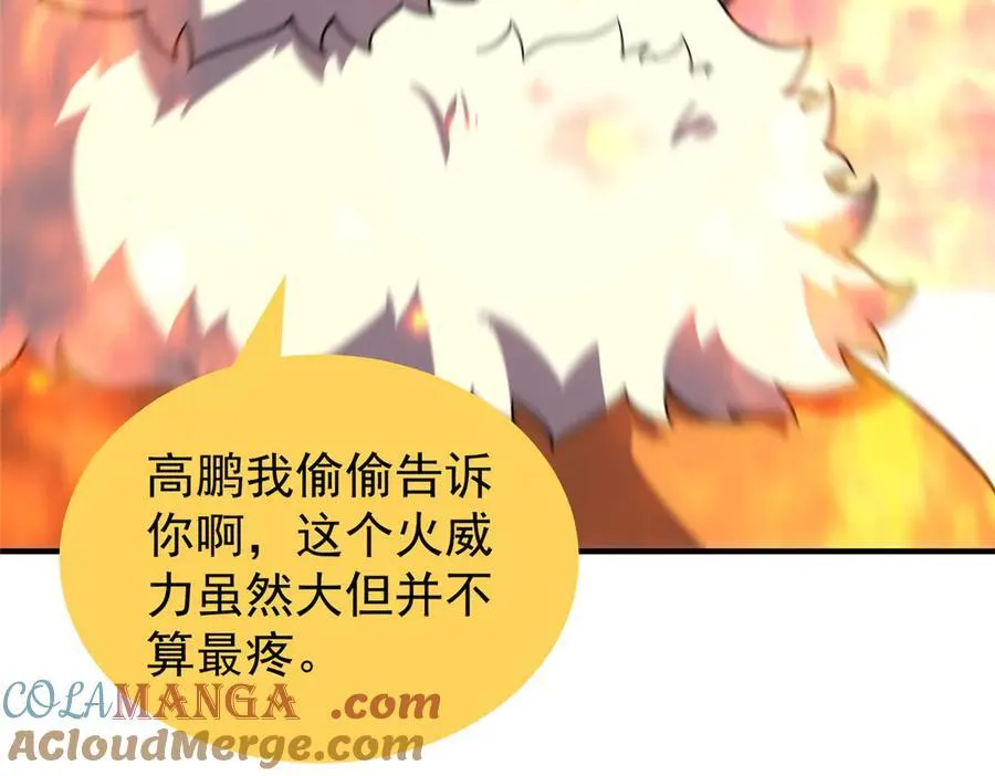 405 抢人头 第81页