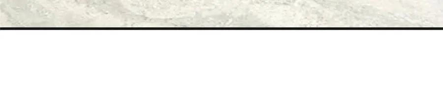 84 血腥屠夫试剂 第36页