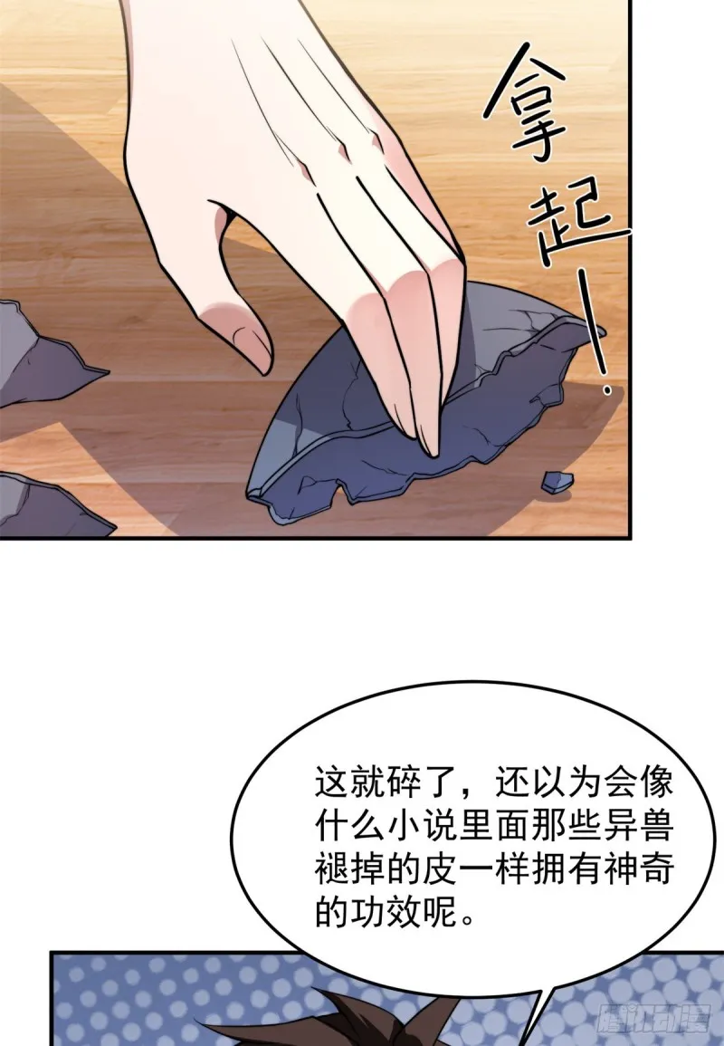 050 我的帽子进化了 第5页