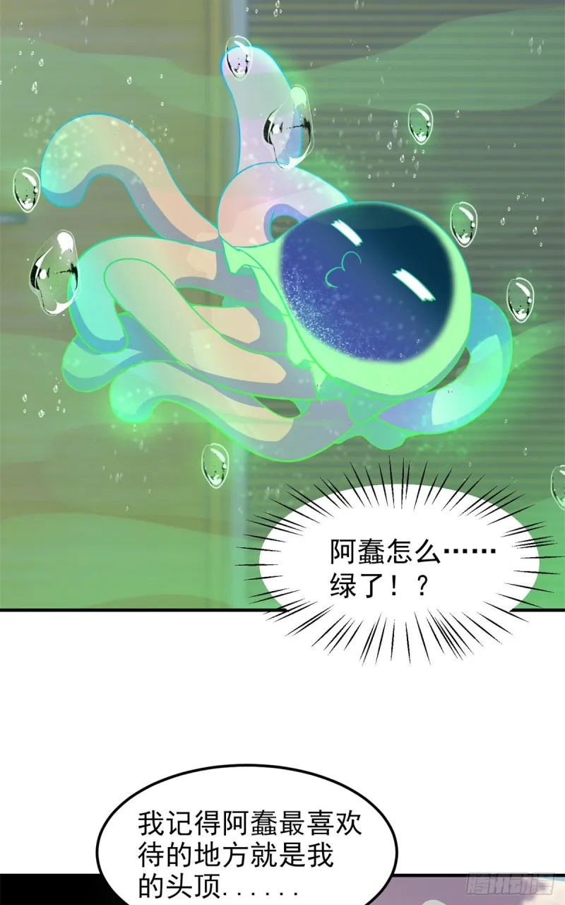 050 我的帽子进化了 第26页