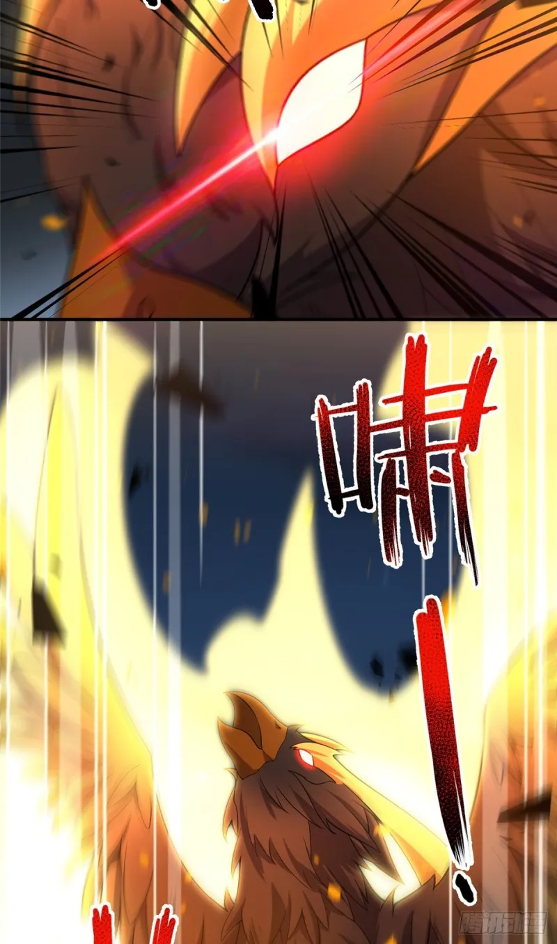 051 纪寒武 第29页