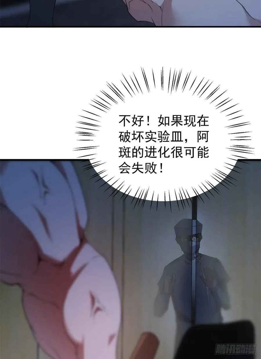 058 进化完美品质 第53页