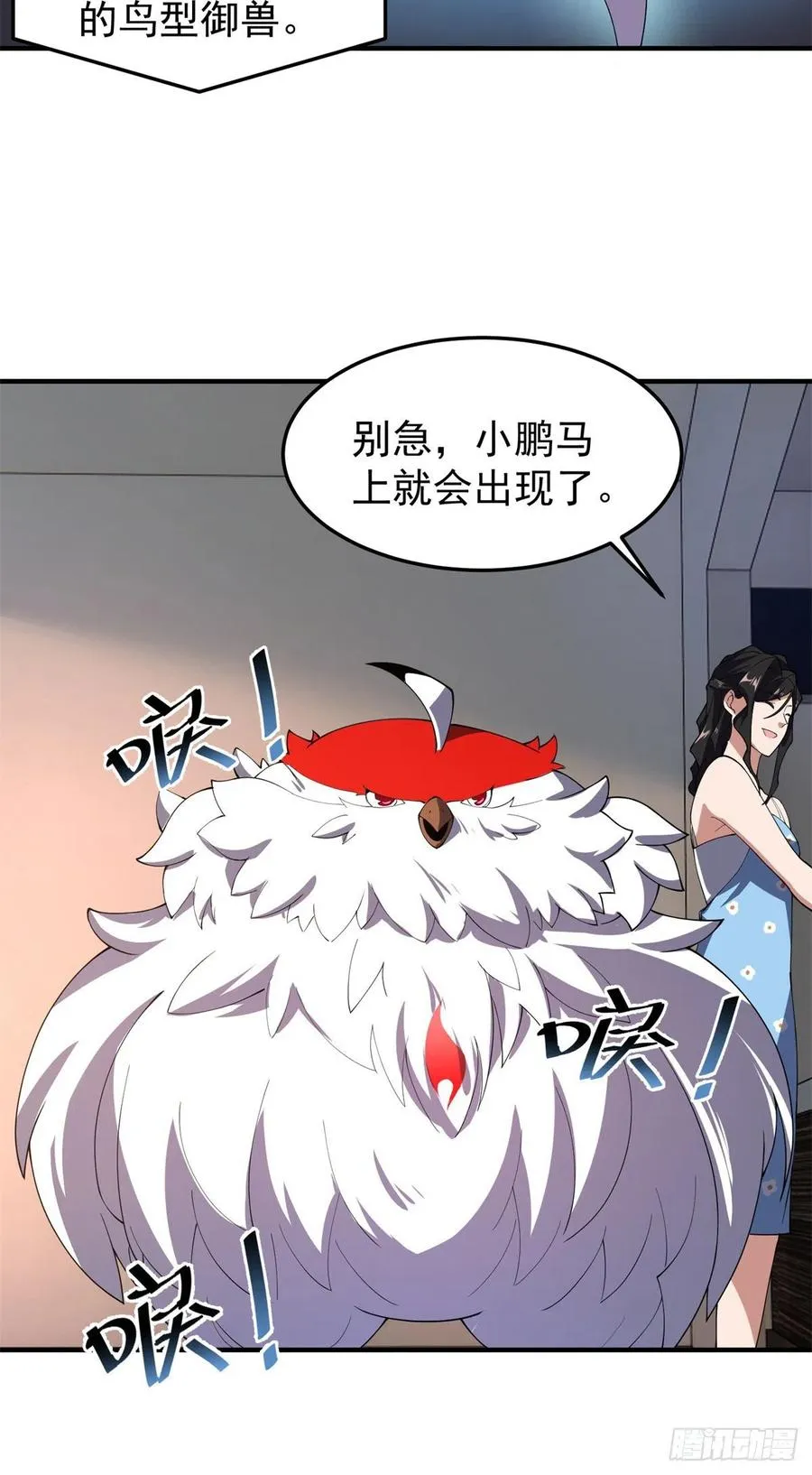 66 大赛开始 第38页
