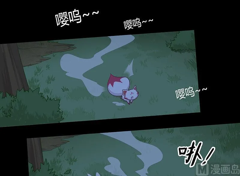 第23话 斑纹虎！ 第9页