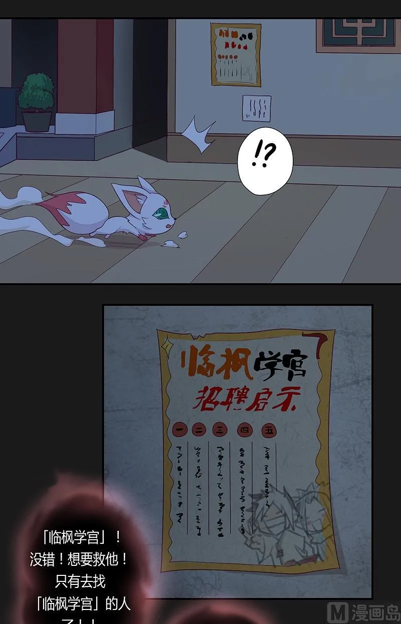 第23话 斑纹虎！ 第13页