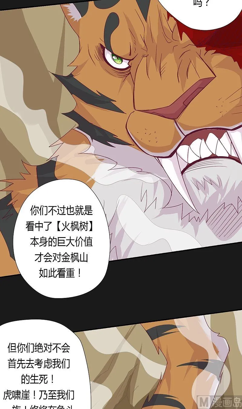 第53话 真啰嗦！ 第13页