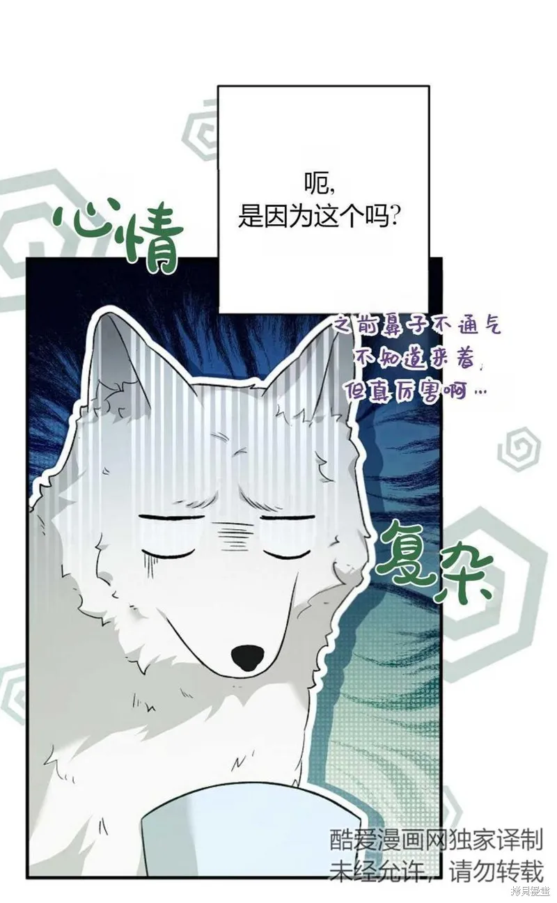 第20话 第20页