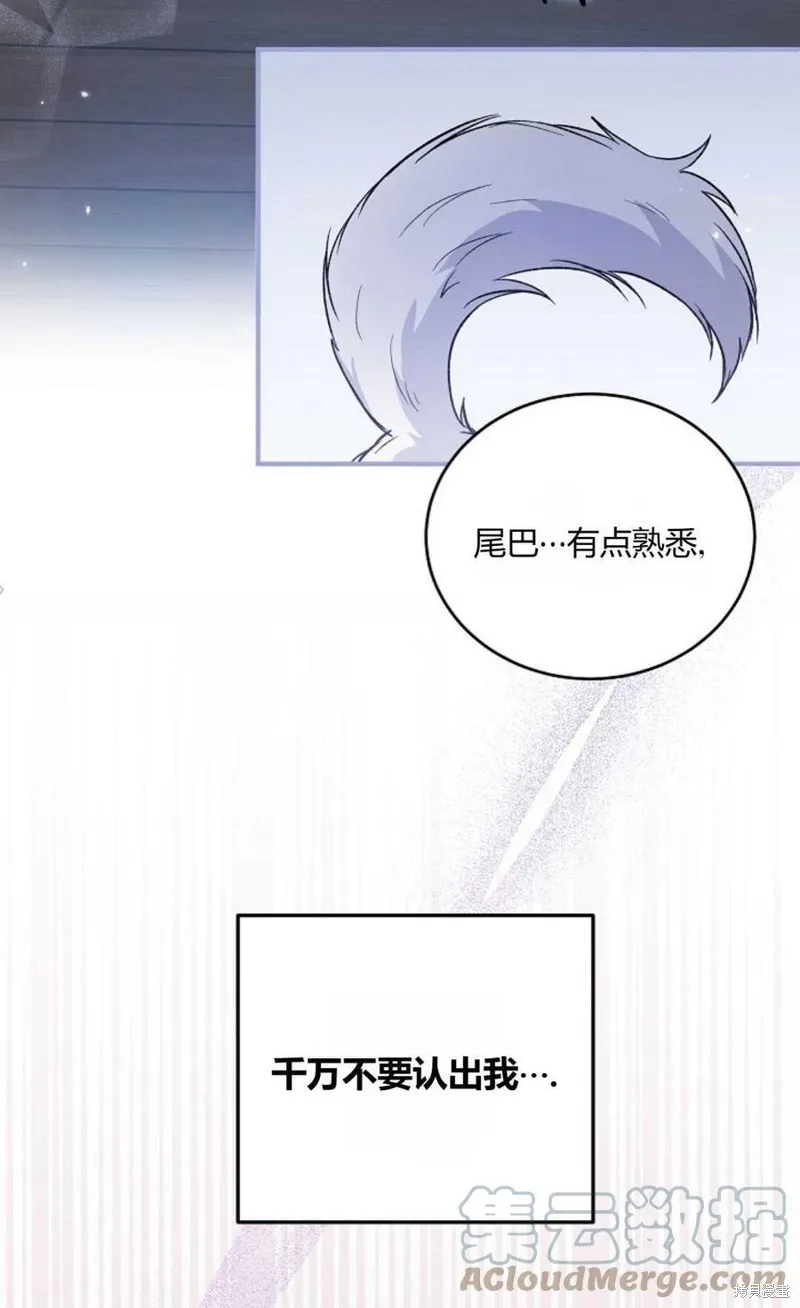 第20话 第49页