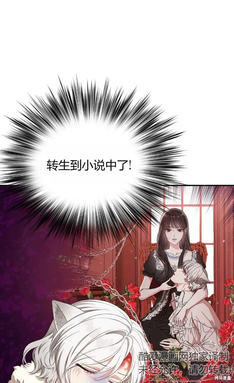 第01话 第56页