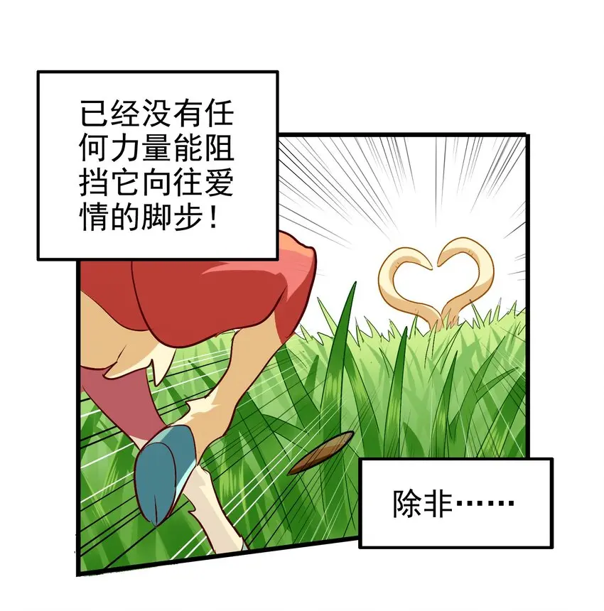 002 大型珍稀保护动物 第7页