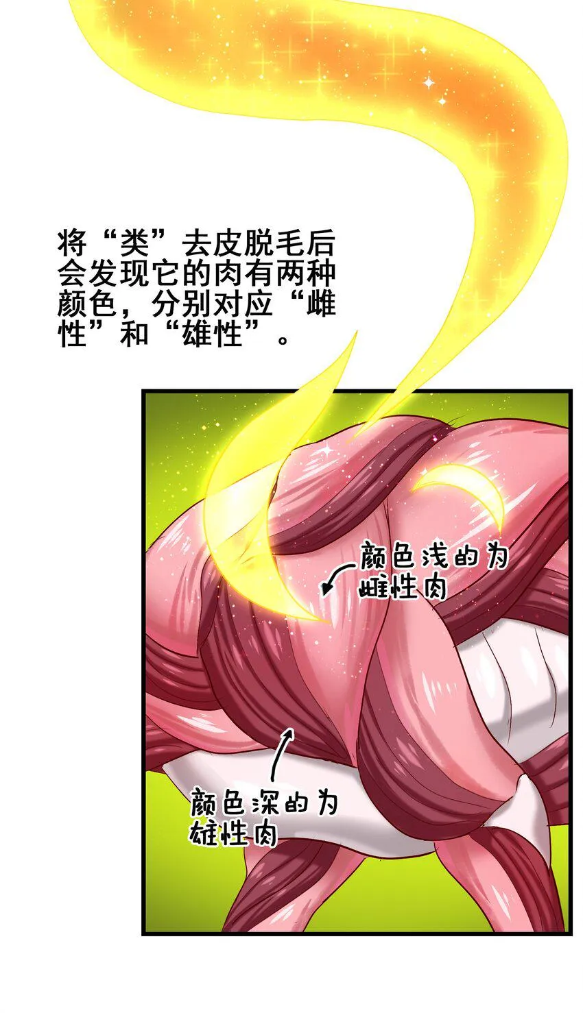 023 南山仙味锅 第16页