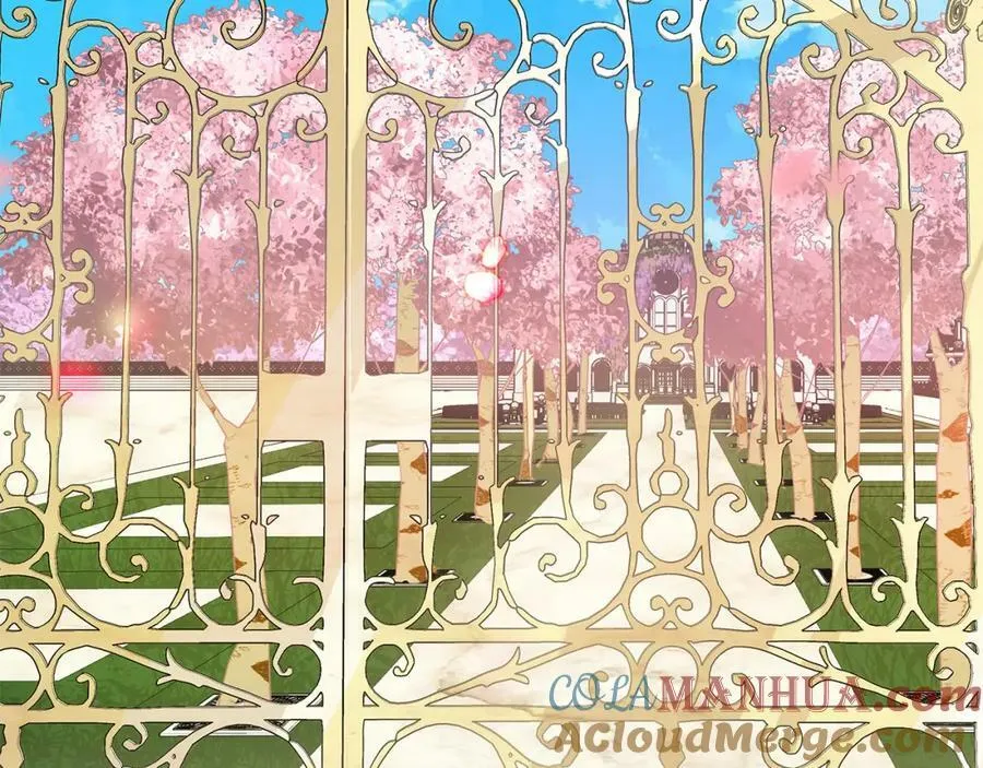 第6话 再获同盟 第5页