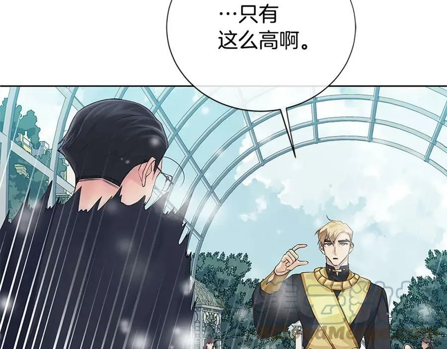 第二季·贰完结篇 我是王的人 第73页